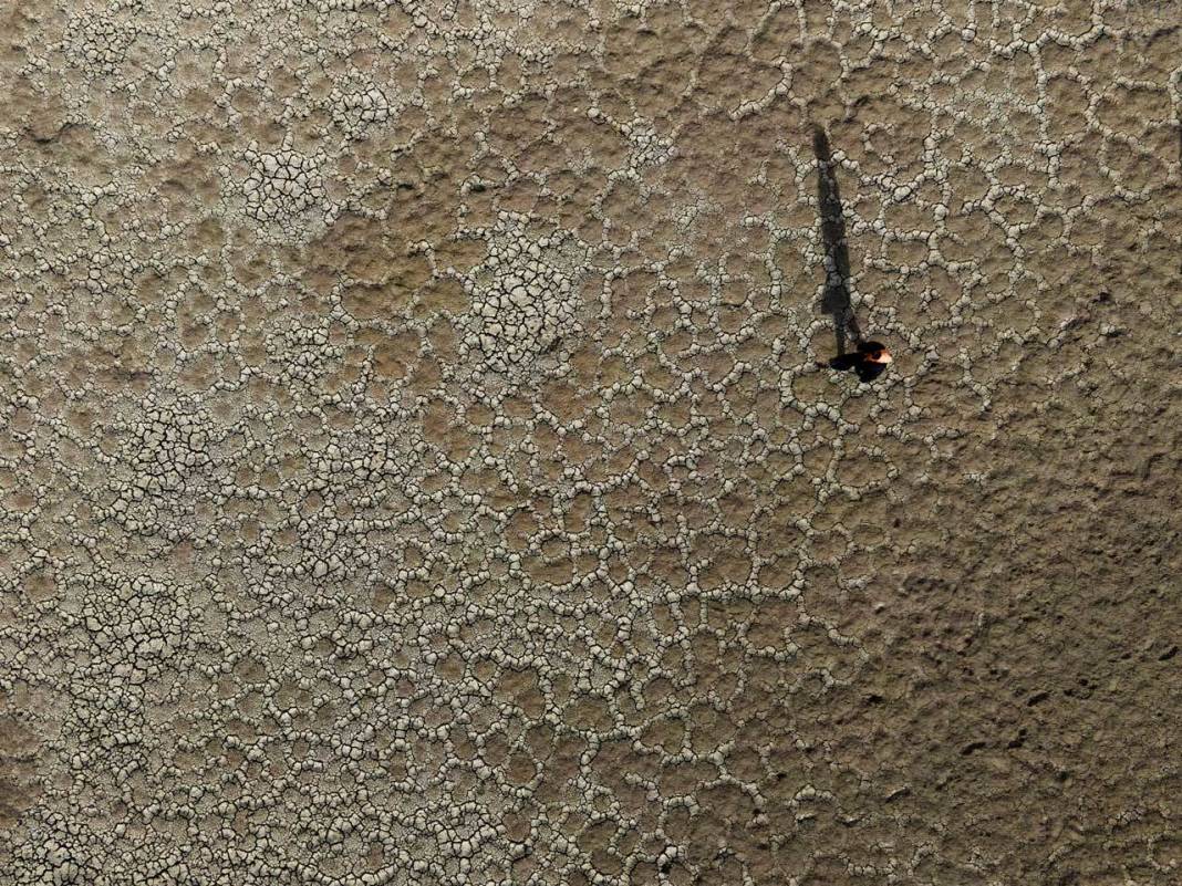 Bir baraj daha kurudu: Sular çekildi bir tane canlı balık kalmadı 4